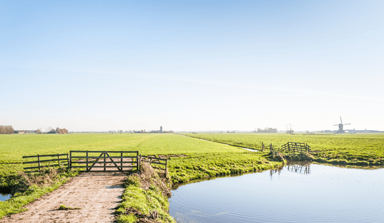 Vakantiehuis thema Weekendje weg Nederland